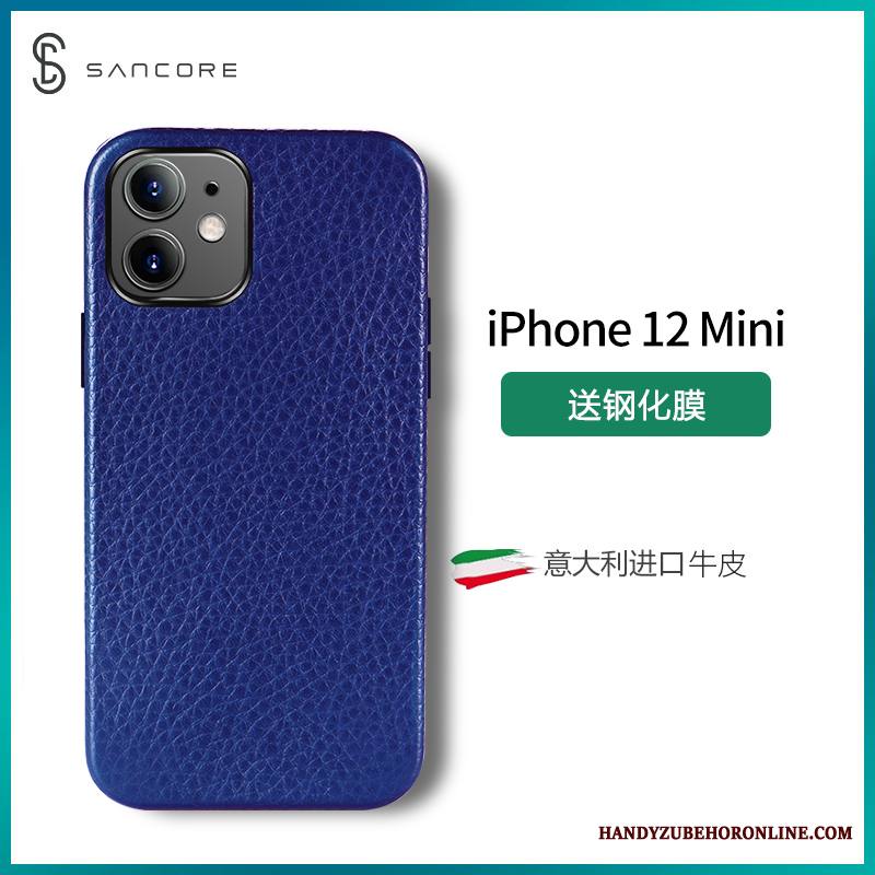 iPhone 12 Mini Kuori Ylellisyys Violetti Puhelimen Kuoret Tähti Trendi Suojaus Aito Nahka