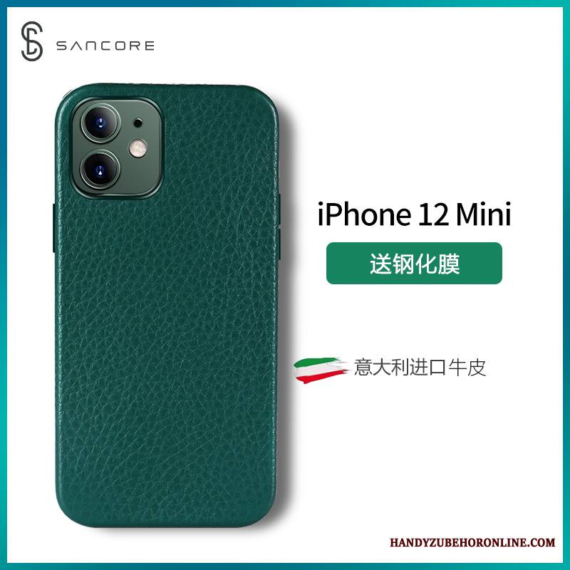 iPhone 12 Mini Kuori Ylellisyys Violetti Puhelimen Kuoret Tähti Trendi Suojaus Aito Nahka