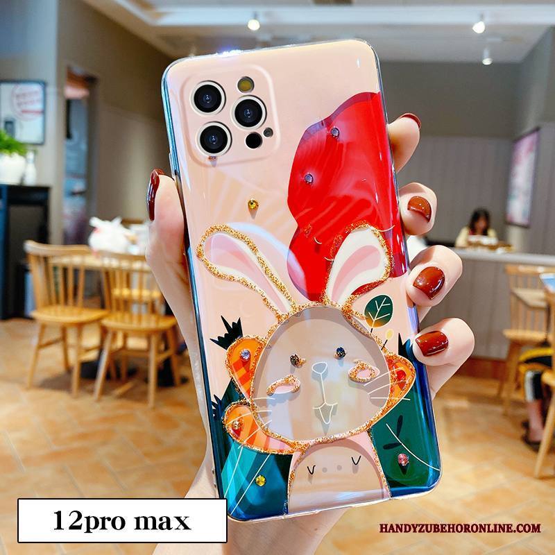 iPhone 12 Pro Max Kuori Sarjakuva Persoonallisuus Rakastunut Murtumaton All Inclusive Puhelimen Kuoret Leijona